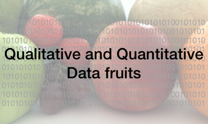 qqDataFruits S.R.L.